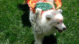 The Wonderful World Of Dog Cosplay